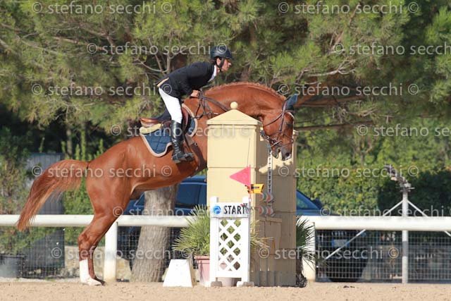 INSELVINI_QUIDORADO_GIO CAV 2011_SS3_6571.jpg